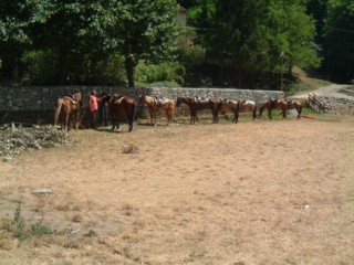  Image name: DSCF2798.JPG 
 width: 320 pixel 
 height: 240 pixel 
 Size: 27544 bytes 
 Click to enlarge 